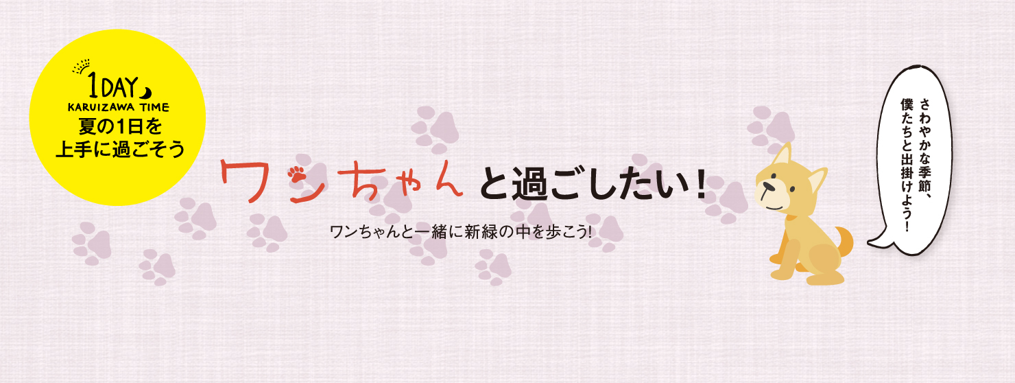 1DAY 夏の1日を上手に過ごそう09 ワンちゃんと過ごしたい！