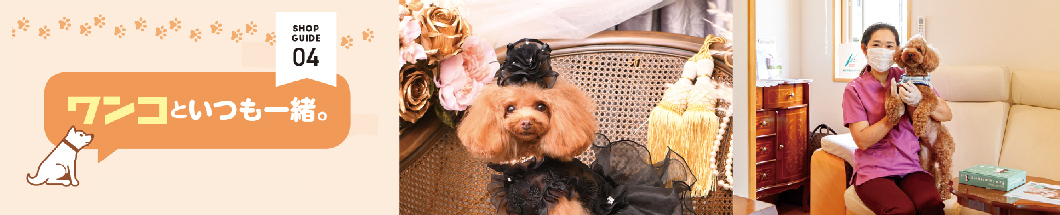04 ワンコといつも一緒。