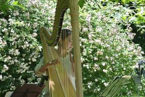 0616_harp.jpgのサムネイル画像