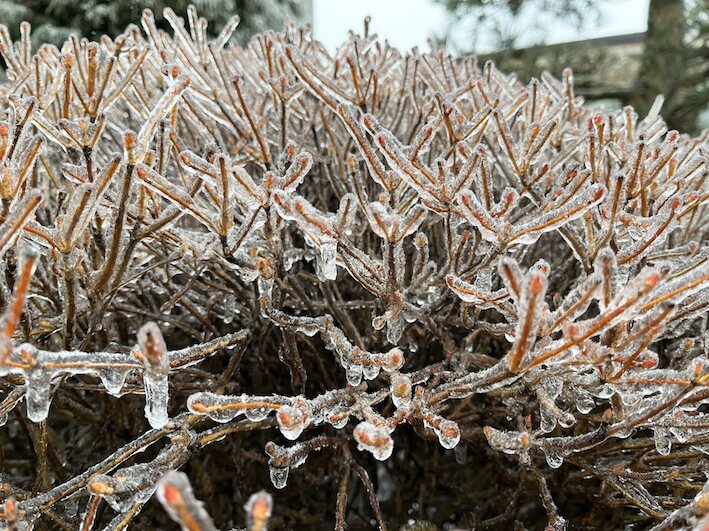 「幻想的」だけど...架線凍結などの被害も 一夜にして「雨氷」が街をつつむ