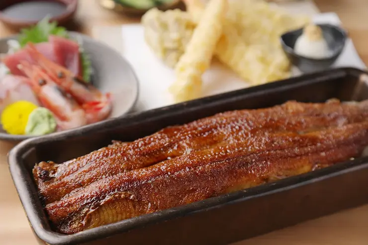 うなぎ四代目菊川の一本うな重