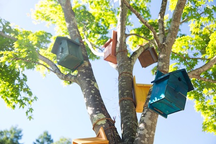 【星野エリア】イロトリドリの街 のコピー.jpg