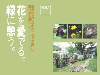 �Ԃ����ł�B�΂Ɍe���B