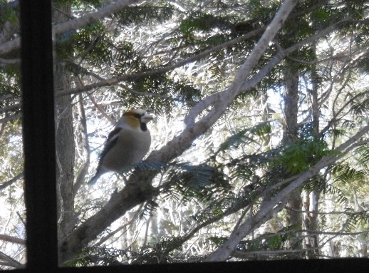 125 (640x480) (2).jpg